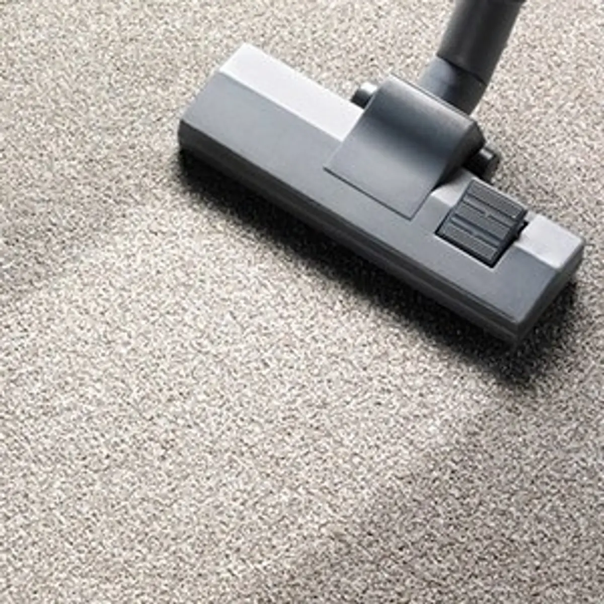 Professional carpet cleaning in action