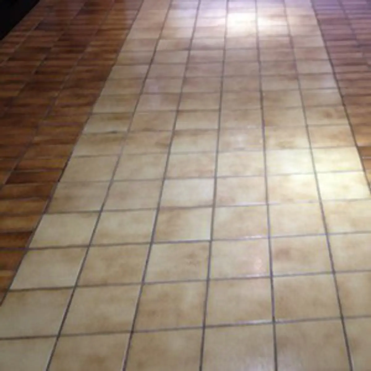 Professional tile cleaning